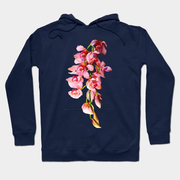 Orchids - Cascade of Pink Orchids Hoodie by SusanSavad